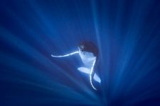 Tahiti Plong&eacute;e Passion Fun dive