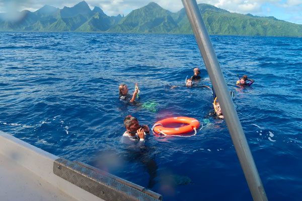 Tahiti plongée passion Plongées d'exploration