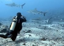 Tahiti Plongée Passion Fun dive