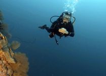 Tahiti Plongée Passion Fun dive