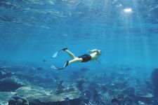 Tahiti plongée passion snorkeling