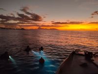 Tahiti Plongée Passion plongée de nuit