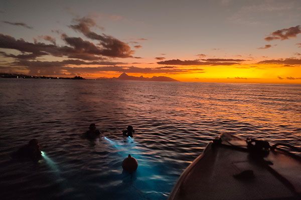 Tahiti plongée passion Plongées de nuit