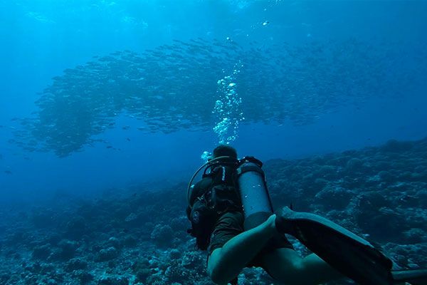 Tahiti plongée passion Plongées d'exploration