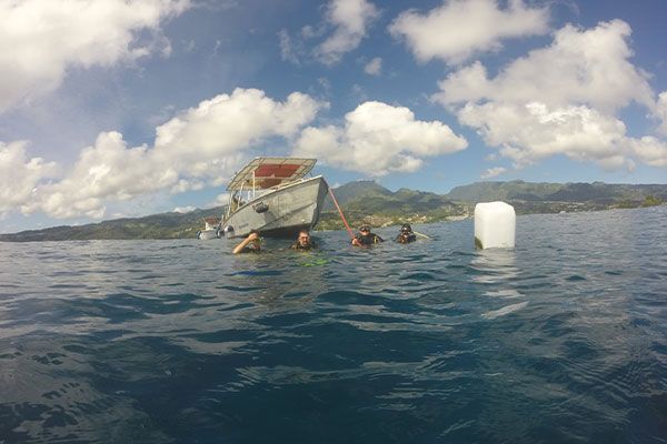 Tahiti Plongée Passion diving courses